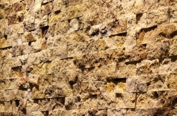 Scabas Yellow Split Face